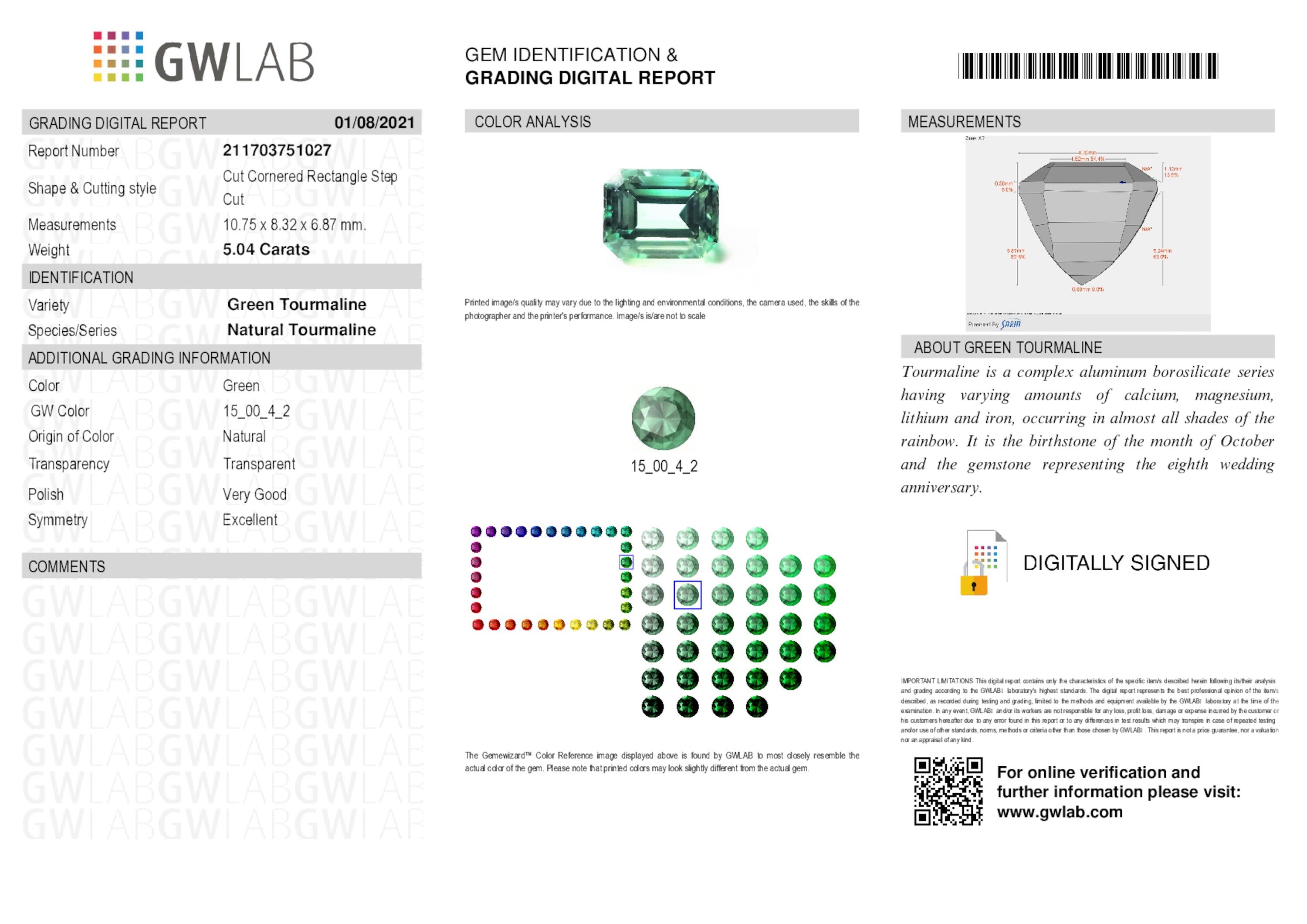 5.04 ct. Tourmaline GWLAB